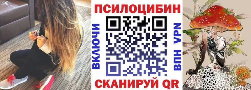Галлюциногенные грибы Cubensis  Кимовск 