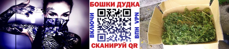 продажа наркотиков  Кимовск  Бошки Шишки THC 21% 